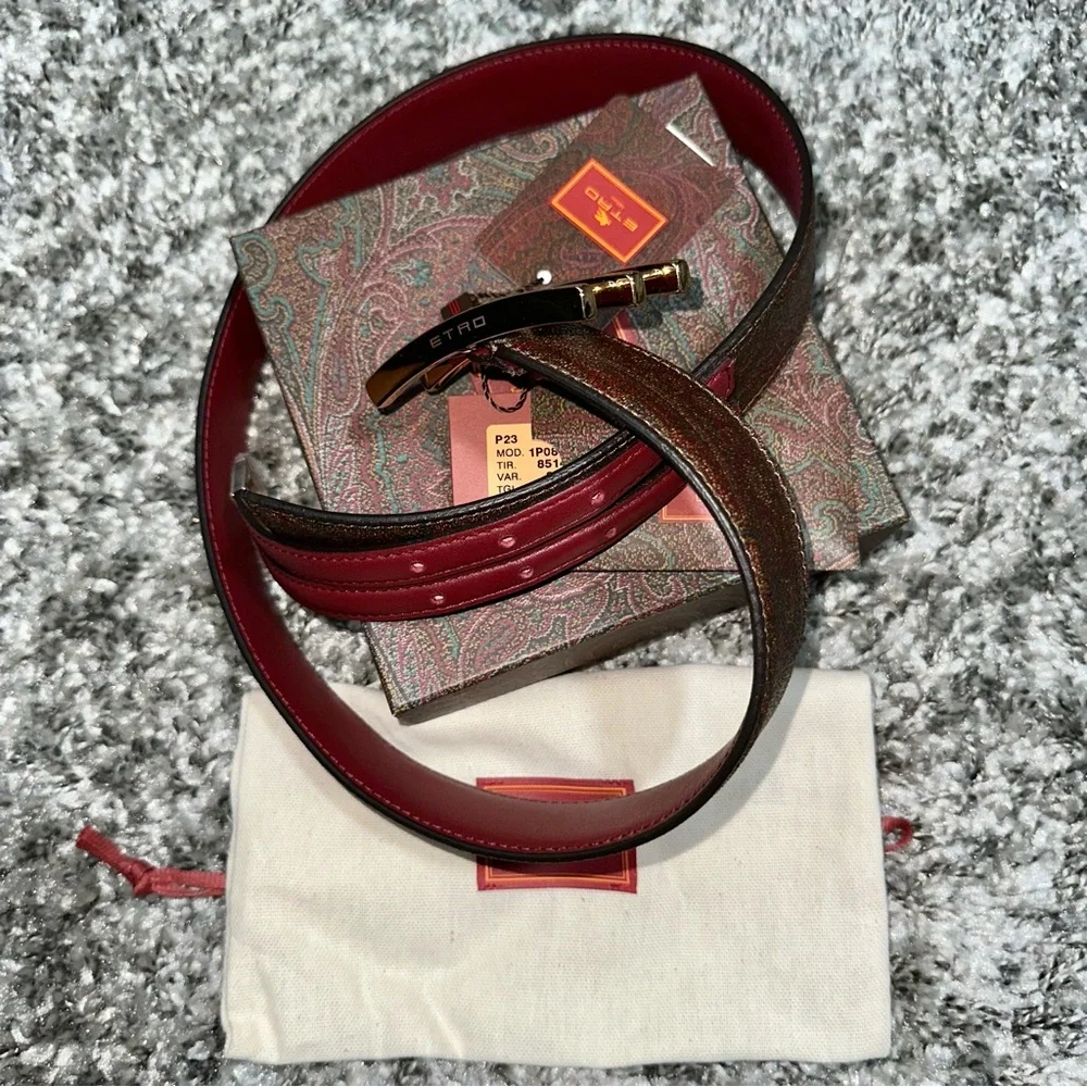 NWT ETRO Mixed-Media Belt With Golden Hardware - Size: 90cm/36in (L) (8/10)